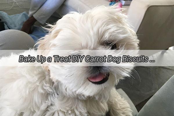 Bake Up a Treat DIY Carrot Dog Biscuits for Your Furry Friends Pawsome Snack Time